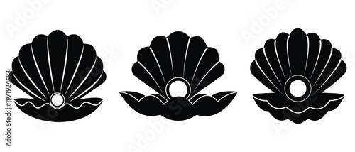 Shells with Pearls icon vector. Silhouette of pearls with oyster. Oyster vector with pearls. Vector illustration.