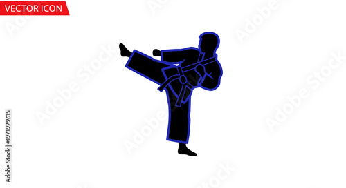 Martial Arts Silhouette: Karateka Performing High Kick