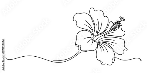 A single continuous line drawing of a delicate hibiscus flower on a clean white background area. Vector, illustration