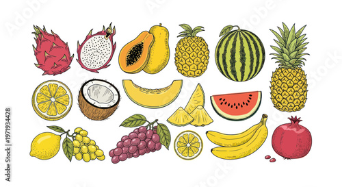 Assorted Exotic Fruits Collection - Healthy Food Illustration