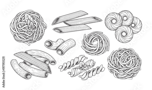 Assortment of Hand Drawn Italian Pasta Shapes and Basil Leaves food spaghetti penne