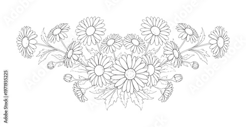 Black and white line floral border of daisies and leaves daisy flower outline