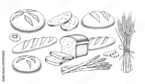 Hand drawn assortment of breads wheat stalks and asparagus food bakery
