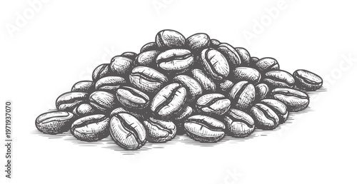 Hand drawn pile of dark roasted coffee beans in style
