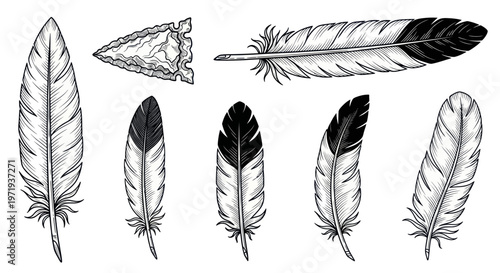Native American Arrowhead and Feather Illustration - Vintage Style Drawing