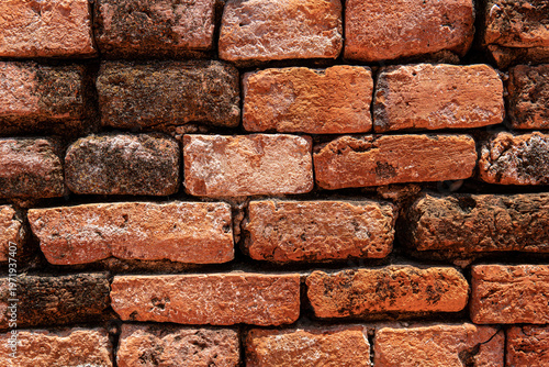 Texture Art on brick and wooden material