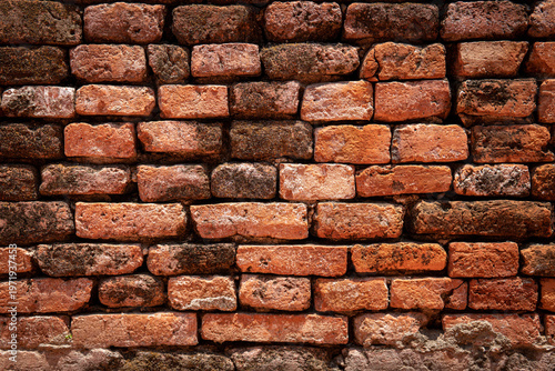 Texture Art on brick and wooden material