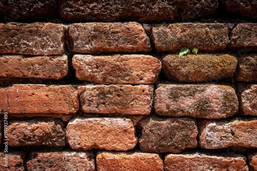 Texture Art on brick and wooden material