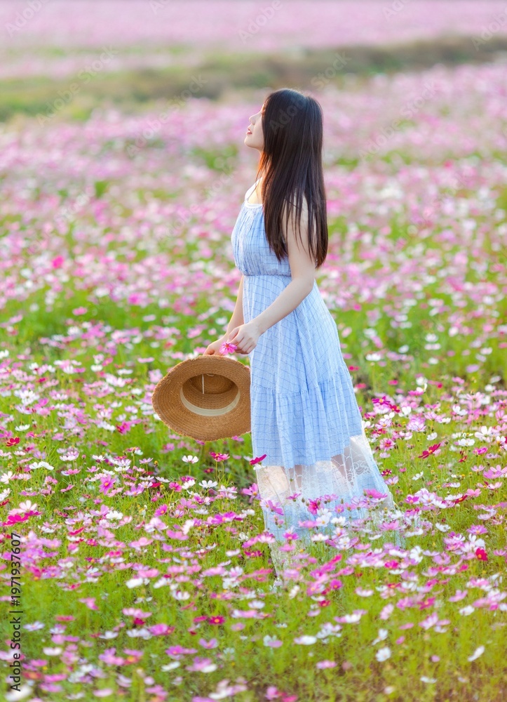 Fototapeta premium An Asian woman playing in a cosmos flower field in spring