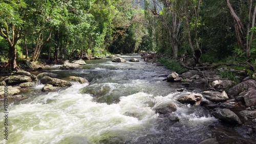 Fast flowing rainforest creek with whitewater rapids, rocks and lush green forest in Australia