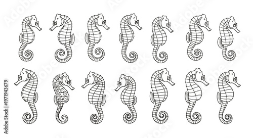 Hand-drawn Seahorse Pattern, Marine Life, Nautical Design, Ocean Creatures