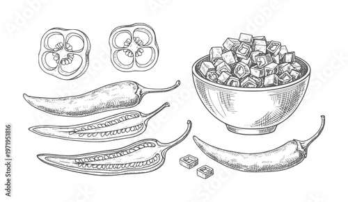 Hand drawn chili peppers whole sliced and diced in a bowl food ingredient spice