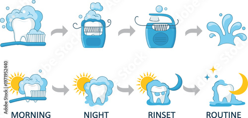 Oral Hygiene Routine Illustration with Tooth Brushing Steps, Morning and Night Care, Rinse Process and Dental Cleaning Guide