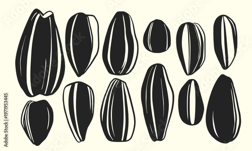 Sunflower seeds Vector