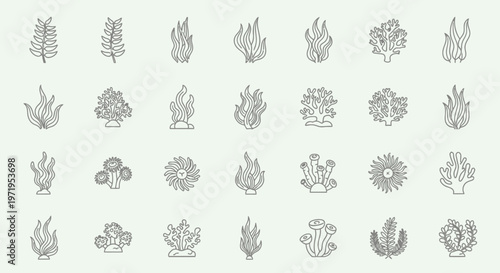 Ocean Flora Icons: Seaweed, Coral, and Marine Plants Line Art Collection