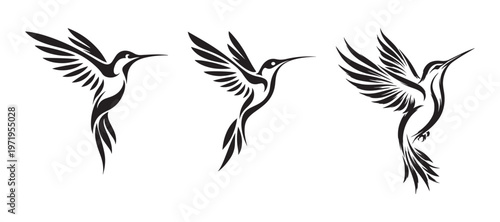 three flying hummingbird icon symbol