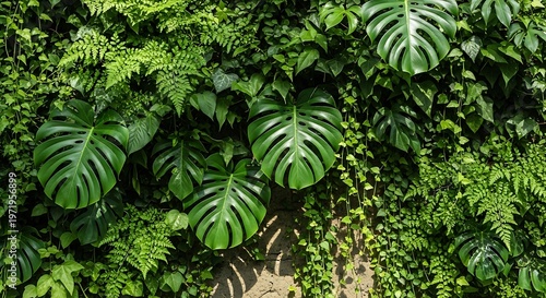 Dense arrangement of green tropical leaves creating natural wall surface