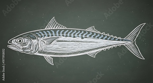 Detailed illustration of a mackerel fish against a textured background