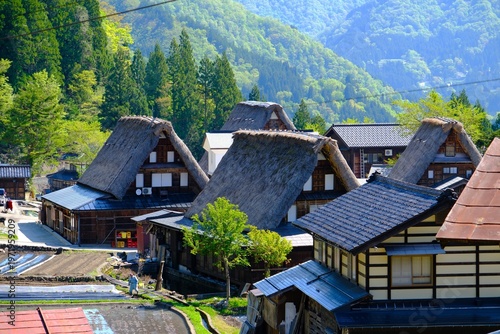 合掌造り集落の風景