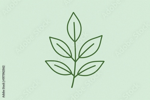a white leaf on a green background