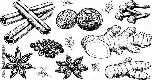 Hand-Drawn Spice Collection Vector Set: Cinnamon, Nutmeg, Clove, Ginger, Peppercorn, Star Anise, and Turmeric. Botanical Sketch for Cooking & Food Design. 
