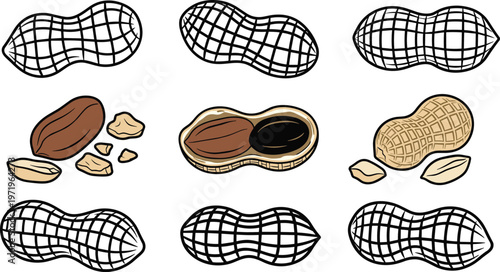 Peanut vector illustration set, whole peanuts in shell, cracked nut shells, organic snacks, hand drawn legume icons, healthy food graphics, isolated on white background,