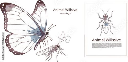 Butterfly and Insect Vintage Illustration Set with Detailed Wings, Moth and Beetle in Elegant Hand Drawn Style for Nature, Wildlife and Scientific Design
