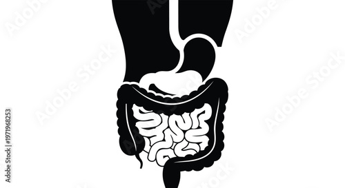 Anatomical illustration of the human digestive system stark black silhouette