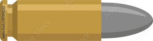 Bullet with brass casing.