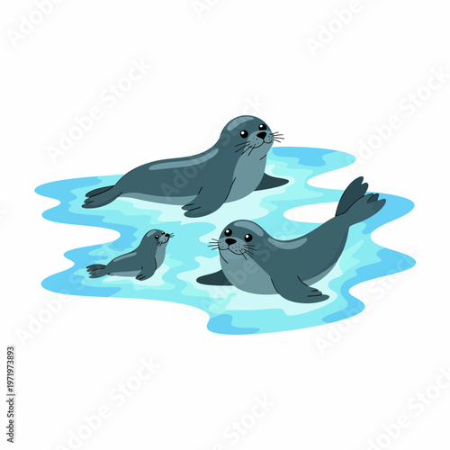 Cute cartoon seal family swimming in blue water vector illustration featuring two adult seals and one playful pup in a flat artistic style for children educational design