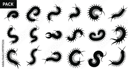 Black silhouette centipede pack with varied poses and shapes insect arthropod
