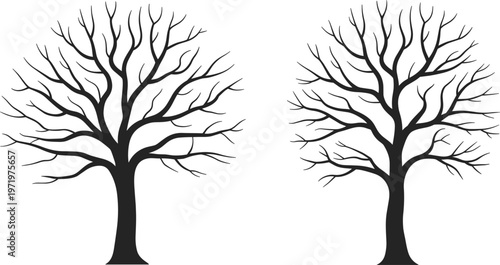 Leafless tree silhouettes with detailed branches representing winter season nature elements isolated minimalist black vector illustration design