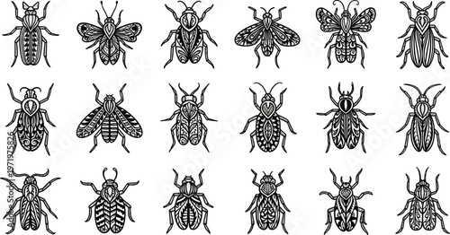 Collection of black and white stylized insects with intricate patterns beetle butterfly