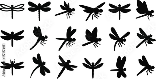 Collection of black dragonfly silhouettes in various poses and styles insect white background