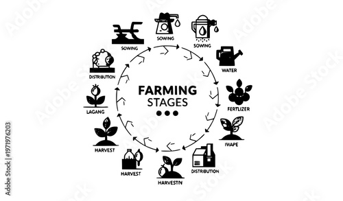 Agriculture workflow infographic with farming stages from planting to harvesting and distribution vector illustration