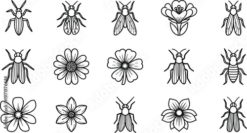 Collection of black line insects and flowers on white background beetle