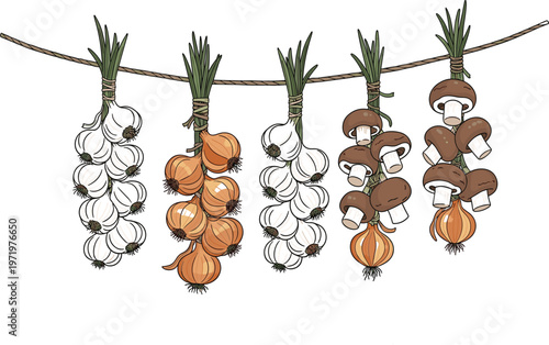 Garlic, Onion and Mushrooms Hanging on Rope, Rustic Food Preservation Illustration for Organic Farming, Kitchen Storage, Drying Vegetables, and Traditional Culinary Concepts