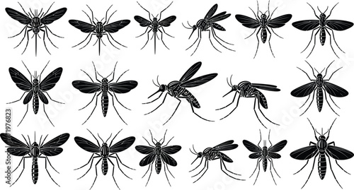Collection of black silhouette mosquito in various poses and views insect