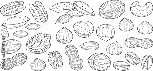 Hand Drawn Nuts Collection with Almond, Walnut, Hazelnut, Peanut and Pistachio, Outline Illustration Set for Healthy Food, Organic Ingredients, and Nutrition Design