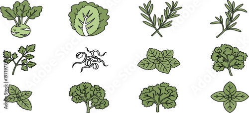 Herbs and Green Vegetables Icons Collection with Basil, Rosemary, Mint and Broccoli, Flat Food Illustration Set for Organic Cooking, Healthy Diet, and Culinary Design