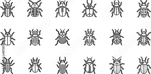 Collection of fifteen black outline beetle on white background insect black and white