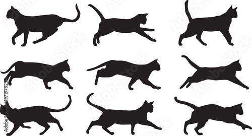 set of playful cat silhouettes jumping, stretching and running