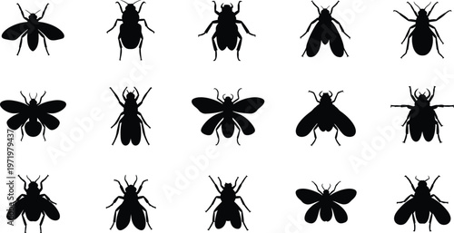 Collection of black insect silhouettes including flies beetles and moths on white fly silhouette beetle silhouette