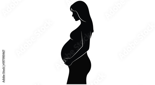 Pregnant woman in profile showcasing a growing belly stark silhouette