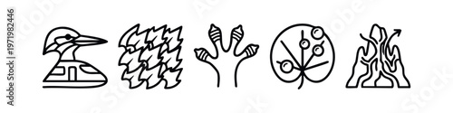 Outline Nature, Transport, and Element Icon Set