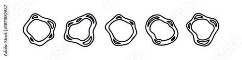 Set of abstract organic irregular fluid shapes with inner outlines