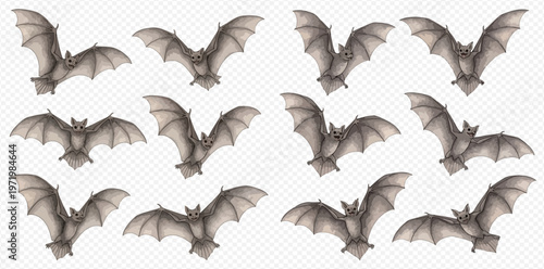 Flying bats on a transparent background, perfect for Halloween and spooky designs.