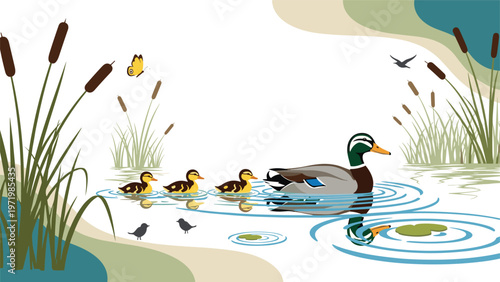 Beautiful mother duck swimming calmly in a pond followed by her cute ducklings amidst tall green reeds and natural cattails.