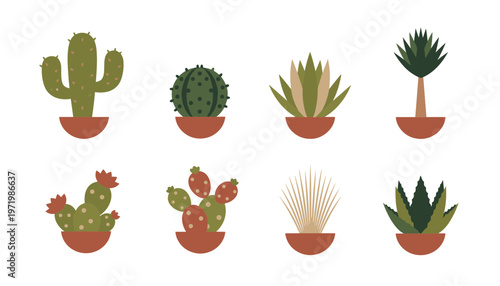 Assorted Potted Cacti and Succulents Collection Isolated on White Background, Indoor Green Houseplants and Desert Plants Vector Illustration Set