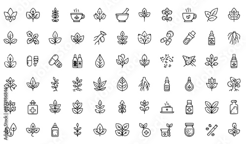 Minimal linear herbal medicine icon set with 50 botanical plants remedies and wellness tools vector illustration